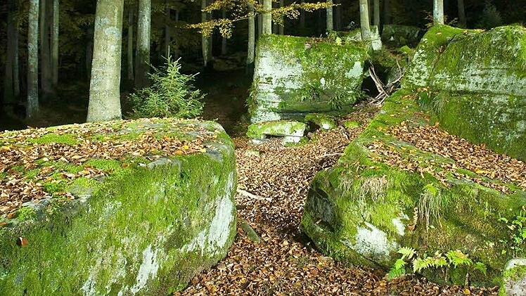 Das Natur-Denkmal "Lange Steine" ist zwar auch bei Nacht und im Geheimen reizvoll, die Stadt will aber sichergehen, dass der Bereich oberhalb von Römershag auch tagsüber für Wanderer uneingeschränkt zugänglich ist, obwohl sie in der Kernzone liegen. Foto: Jürgen Hüfner