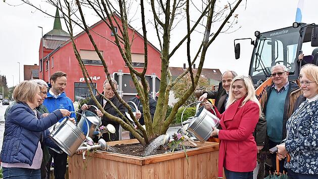 MdL Martin Schöffel (CSU) setzte drei Magnolien mithilfe eines Radladers ab - die weiteren Helfer standen mit Gießkannen bereit: (v. l.) Brigitte Lauterbach (ABL), Erich Schiffelholz (ABL), Bürgermeister Robert Bosch (CSU), Bezirkstagspräsident H...