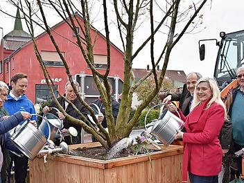 MdL Martin Schöffel (CSU) setzte drei Magnolien mithilfe eines Radladers ab - die weiteren Helfer standen mit Gießkannen bereit: (v. l.) Brigitte Lauterbach (ABL), Erich Schiffelholz (ABL), Bürgermeister Robert Bosch (CSU), Bezirkstagspräsident H...