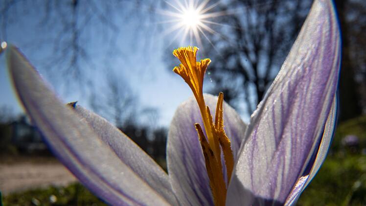 Hoch Martin sorgt ab der aktuellen Woche für einen Super-Frühling in Deutschland.