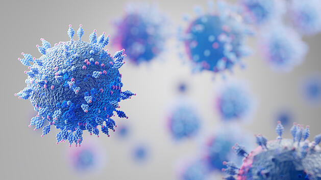 Die Krankheitszeichen von HV.1. &auml;hneln denen anderer Omikron-Varianten.