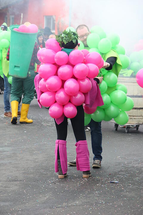 Faschingsumzug in Oberhaid