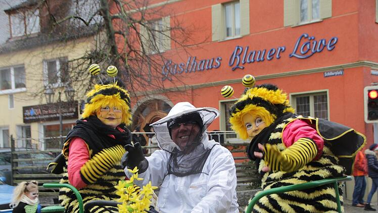 Faschingszug in Höchstadt  Foto: Andreas Dorsch