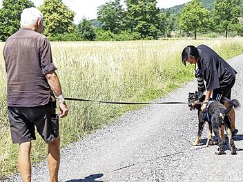 Für den Tierheimkalender der Adelsdorfer Fotografin Anja Veh posierten unter anderem Hunde aus Unternesselbach.