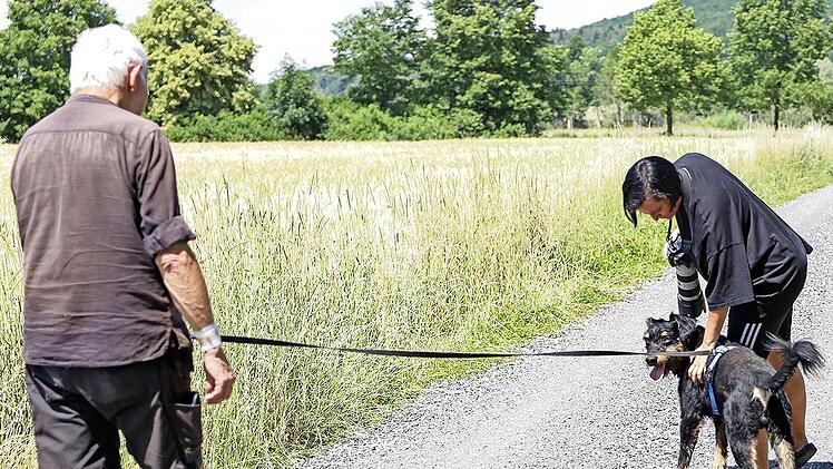 Für den Tierheimkalender der Adelsdorfer Fotografin Anja Veh posierten unter anderem Hunde aus Unternesselbach.