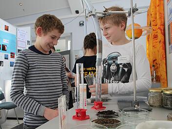 Janne Reimann und Gabriel Paluszek vom Gymnasium Ernestinum Coburg schafften es im Fachbereich Geo- und Raumwissenschaften auf den dritten Platz.Foto: Katrin Geyer
