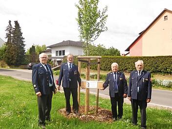 Rudi Schwandner, Manfred Warter Willi Dennerlöhr und Georg Schockel (v. r.) pflanzten den Baum.