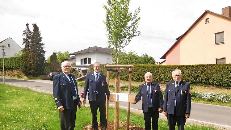 Rudi Schwandner, Manfred Warter Willi Dennerlöhr und Georg Schockel (v. r.) pflanzten den Baum.