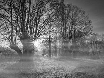 Dichte Wolken und Nebel beherrschen das Wetter bis Neujahr. Dann wird es voraussichlich winterlich. Foto: InFrankenPix-Nutzer grasser_m