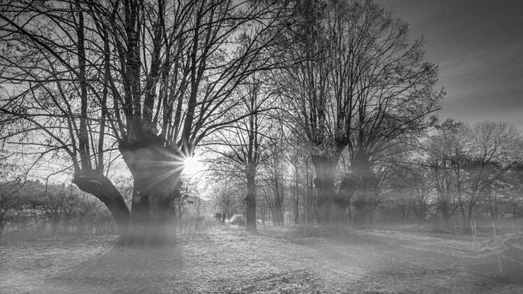 Dichte Wolken und Nebel beherrschen das Wetter bis Neujahr. Dann wird es voraussichlich winterlich. Foto: InFrankenPix-Nutzer grasser_m