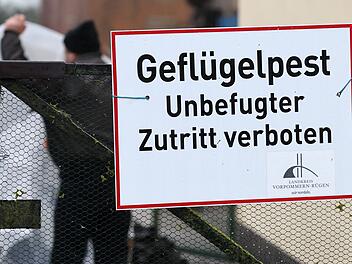 Gefl&uuml;gelpest am Goldbergsee in Coburg nachgewiesen