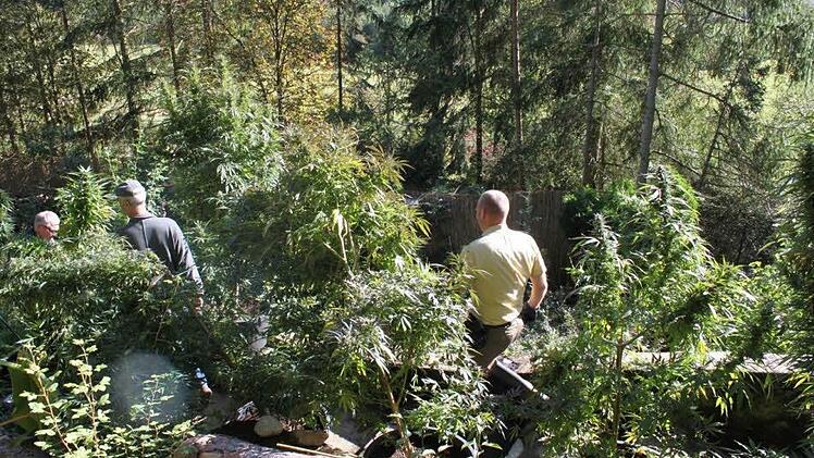 Polizisten bei der "Ernte".