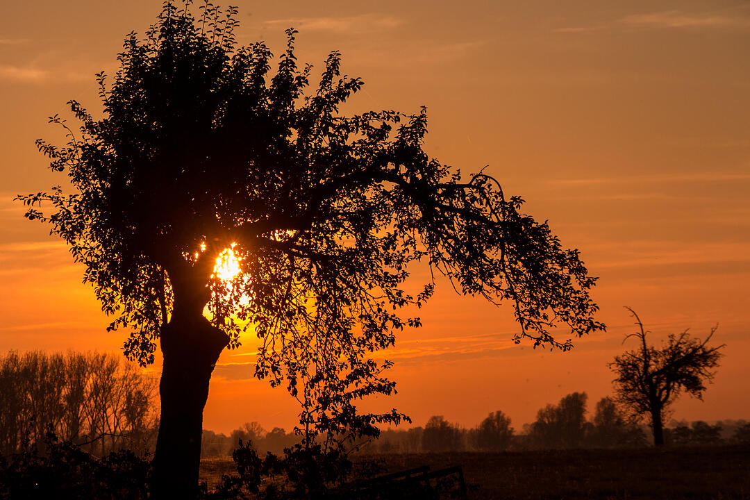 Fotos Konrad Thomann