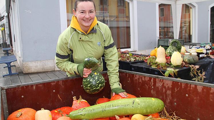 Kürbisse in der Korbstadt