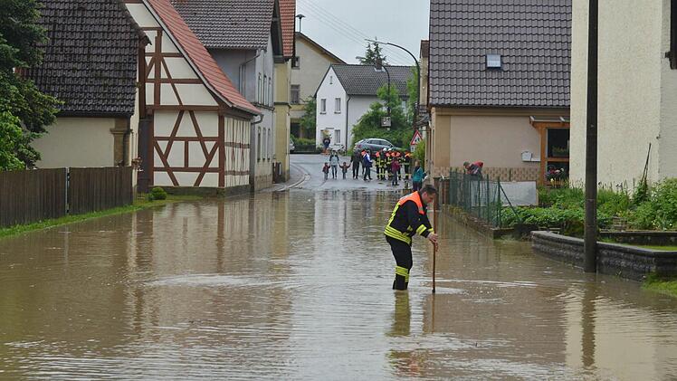 Wiesengiech. Foto: Ronald Rinklef