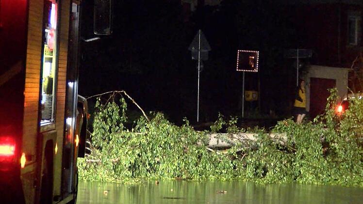 Foto: News5/Grundmann