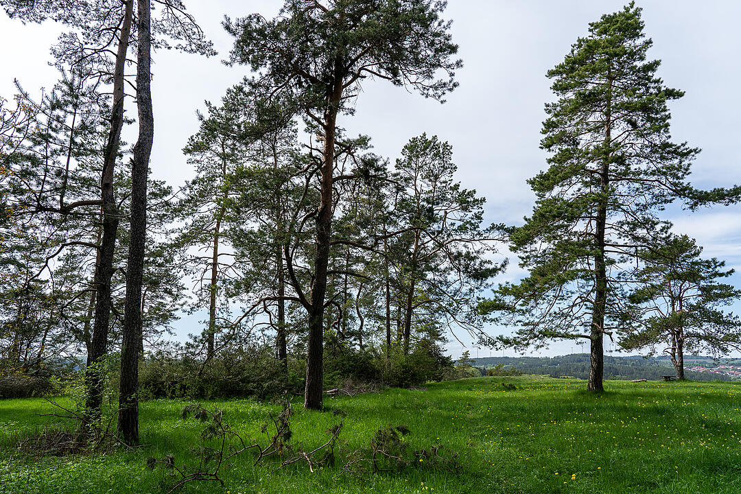 Der große Burgfels dient als toller Aussichtspunkt.