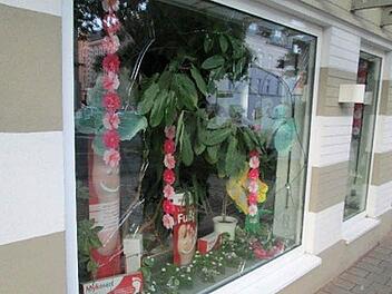 Diese Schaufensterscheibe in der Oelsnitzer Stra&szlig;e schlug ein 22-J&auml;hriger in Hof ein. Der Grund daf&uuml;r ist kurios. Foto: Polizei Hof