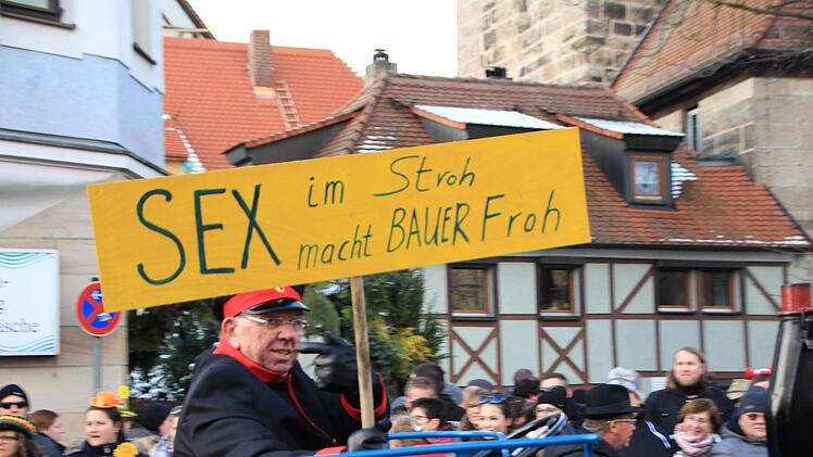 Der Faschingszug durch Höchstadt  - Foto: Andreas Dorsch