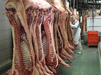 Einblick in die Produktion von Konrad Böhnlein in Bamberg, einem der größten Fleisch verarbeitenden Betriebe in der Region. Foto: Ronald Rinklef