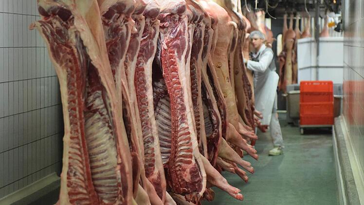 Einblick in die Produktion von Konrad Böhnlein in Bamberg, einem der größten Fleisch verarbeitenden Betriebe in der Region. Foto: Ronald Rinklef