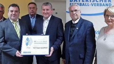 Die Silberne Raute des BFV nimmt Vorsitzender Gerald Weinrich (Vierter von links) von Kreis-Ehrenamtsbeauftragtem Stefan Schmitt (Zweiter von links) entgegen. Fotos: Horst Wunner