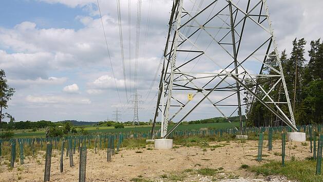 Alles umsonst? Viel Geld hat es sich Tennet kosten lassen, um nach den Vorgaben der Baugenehmigung die Fl&auml;chen unter der 380-Kilovolt-Leitung (wie hier  unweit von Weidhausen) zu renaturieren. W&uuml;rde dort eine wie auch immer gestaltete neue Trasse kommen, m&uuml;ssten  gro&szlig;e Bereiche baulich ver&auml;ndert werden.