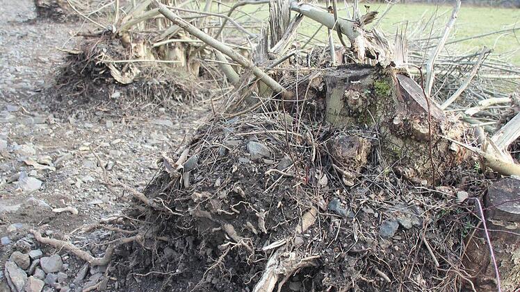 Foto: Friedwald Schedel