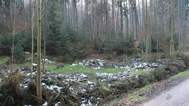 An der Stelle wird ein zweiter ausgebaut.