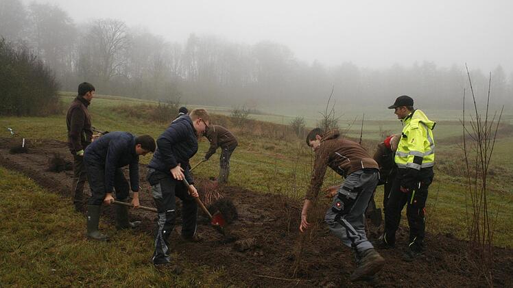Das Klassenzimmer mit der freien Natur tauschten jüngst 20 Landwirtschaftsschüler bei einem Projekt des Landschaftspflegeverbands bei Großwalbur. Foto: Martin Rebhan