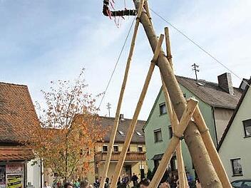 Die Kerwasburschen wuchten den Baum in die Höhe. Foto: Erl