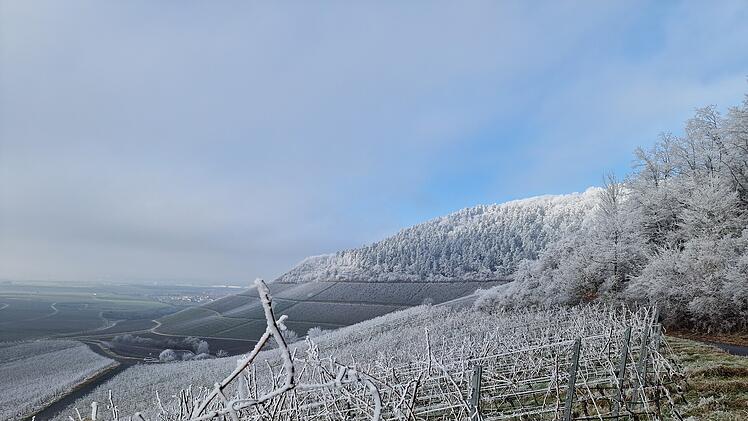Die Weinberge sind auch im Winter ein Augenschmaus.