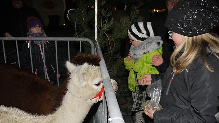 Impressionen vom Neustadter Nikolausmarkt. Foto: Berthold K&ouml;hler