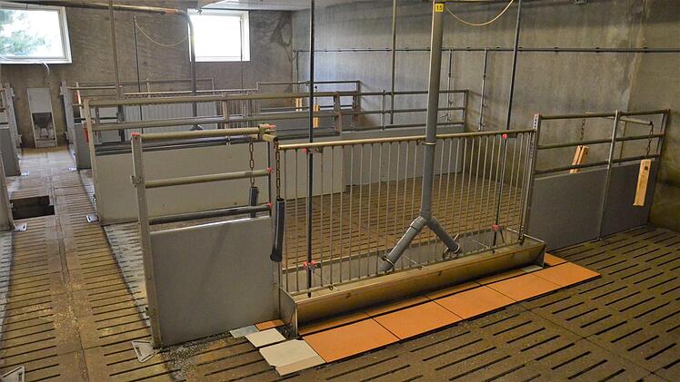 Wurden die Schweine zum Schlachter gebracht, wird der komplette Stall gereinigt und desinfiziert. Foto: Sandra Hackenberg