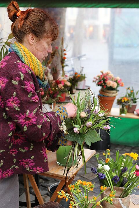 Frühling in Franken: Das Leben erwacht