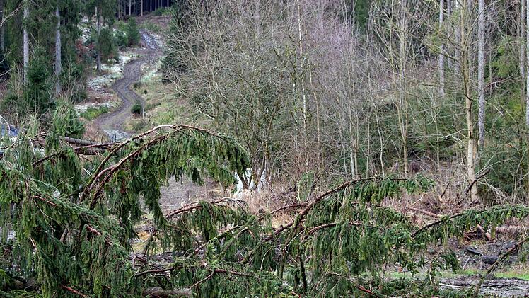 Eine aufgrund des Sturms umgestürzte Fichte hat in Mittelfranken einen Unfall verursacht. Symbolfoto: Swen Pförtner/dpa