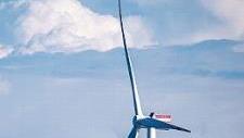 Windpark in der Nordsee Foto: dpa