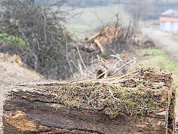 Entlang dieses Feldwegs am westlichen Ende des Zeiler Gewerbegebiets wurde der Graben freigeräumt, um dessen Abflussfunktion zu gewährleisten. Fotos: Andreas Lösch