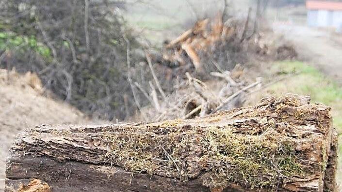 Entlang dieses Feldwegs am westlichen Ende des Zeiler Gewerbegebiets wurde der Graben freigeräumt, um dessen Abflussfunktion zu gewährleisten. Fotos: Andreas Lösch