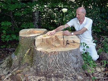 Joachim Galuska an einem Baumstumpf im "Wald für die Seele".Peter Rauch