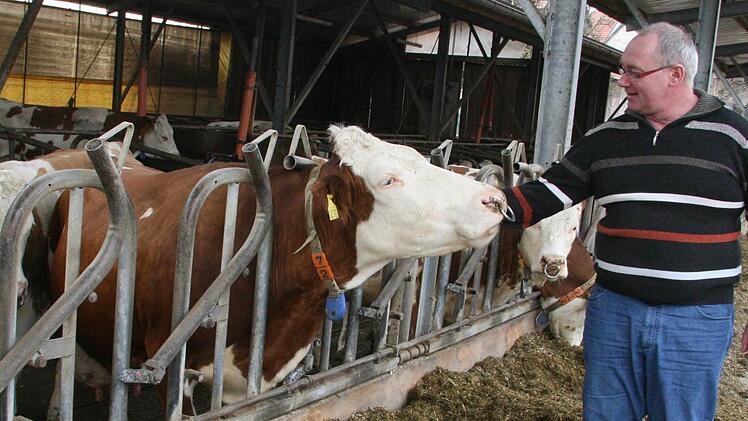 Erwin Schwarz im Stall bei den Kühen