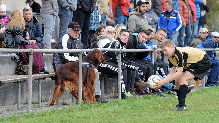 Den Spieltrieb geweckt: Nah dran am Geschehen in Oberthulba ist dieser aufmerksame Vierbeiner. Foto: Hopf