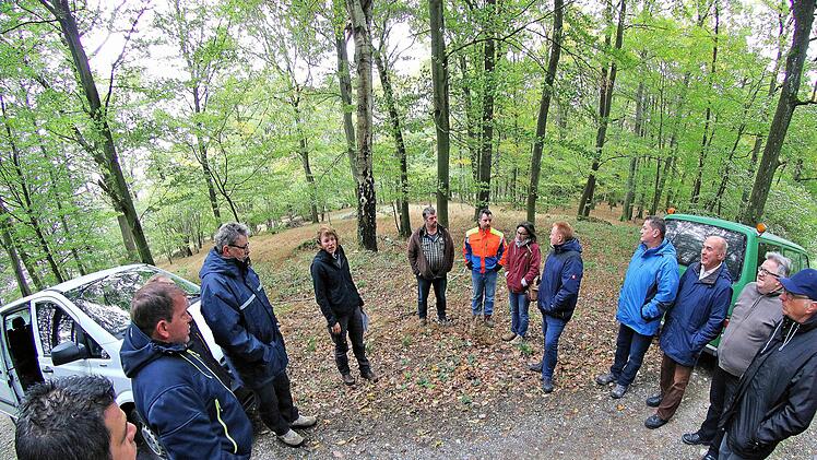 Durch Erbteilung sind viele Flächen im Maßbacher Wald so klein geworden, dass sie kaum noch bewirtschaftet werden können. Doch die Eigentümer sind lange verstorben und Erben unbekannt. Deshalb will die Marktgemeinde nun die Erben ausschließen lassen. Unser Bild zeigt den Marktgemeinderat bei einer Waldbegehung. Foto: Dieter Britz