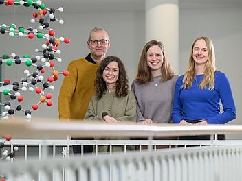 Uni-W&uuml;rzburg-Studie entschl&uuml;sselt neuen Schutzmechanismus von Tumoren