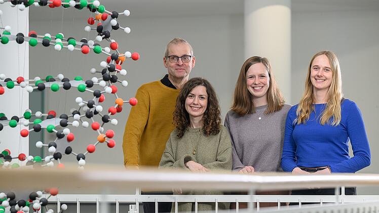 Uni-W&uuml;rzburg-Studie entschl&uuml;sselt neuen Schutzmechanismus von Tumoren