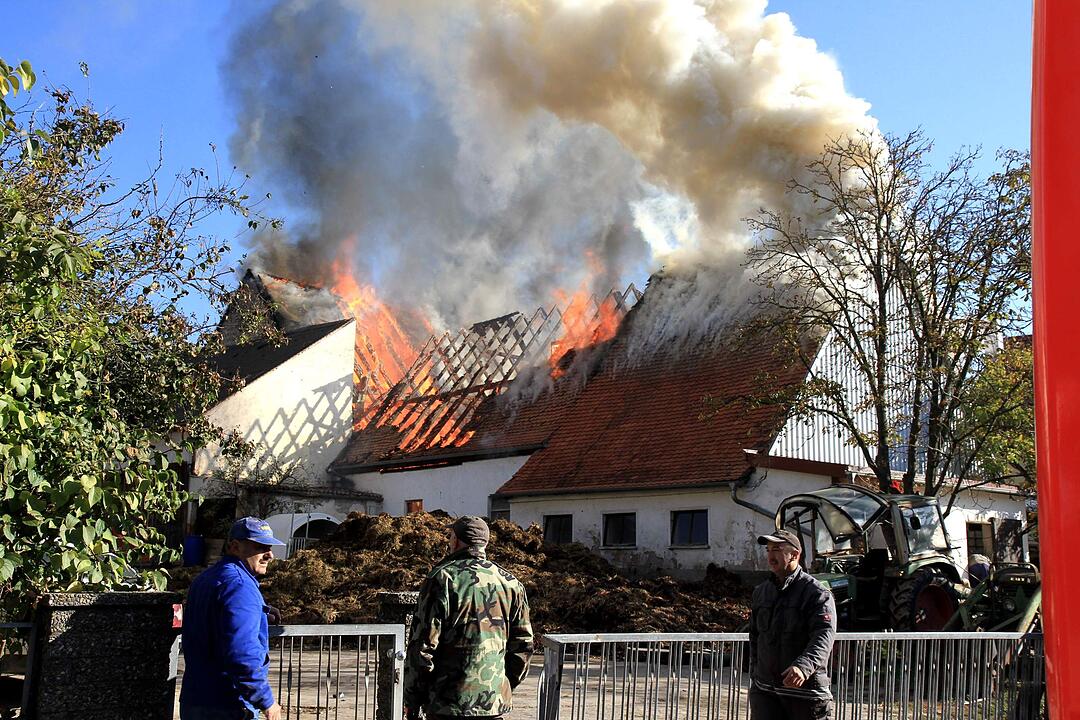 Brand in Schweinestall in Herzogenaurach