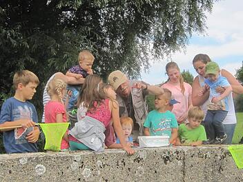 Auf der Brücke an der Schondra staunten die Kinder über die vielen Flohkrebse und Rückenschwimmer, die in dem Bach leben. Foto: Türbl