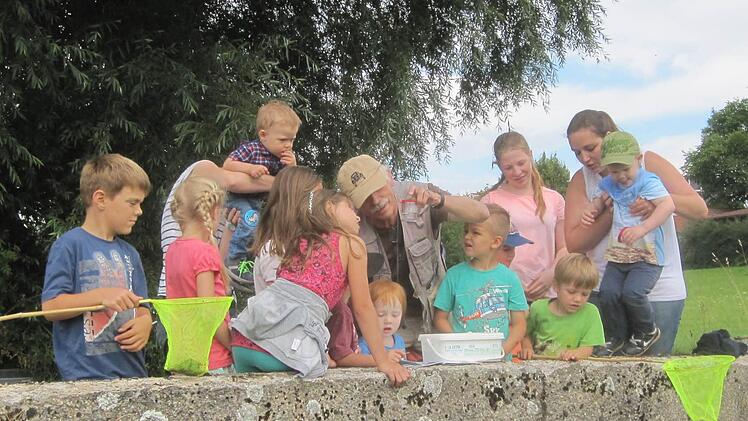 Auf der Brücke an der Schondra staunten die Kinder über die vielen Flohkrebse und Rückenschwimmer, die in dem Bach leben. Foto: Türbl