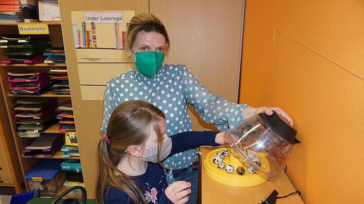 Anna Lena Büttner und ihre Tochter Oda bestückten den Wachteleier-Brutautomat in der Grundschule Unterweißenbrunn mit 12 Wachteleiern aus eigener Zucht. Foto: Marion Eckert