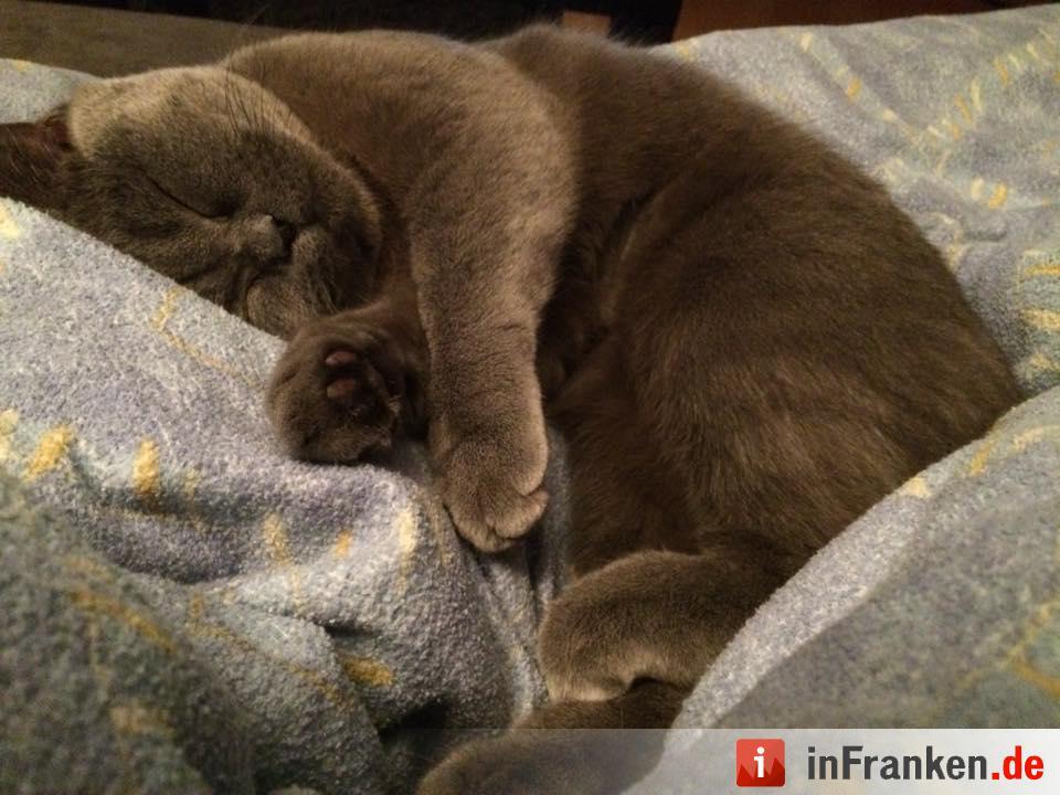 Foto: Daniel Schneiderbanger